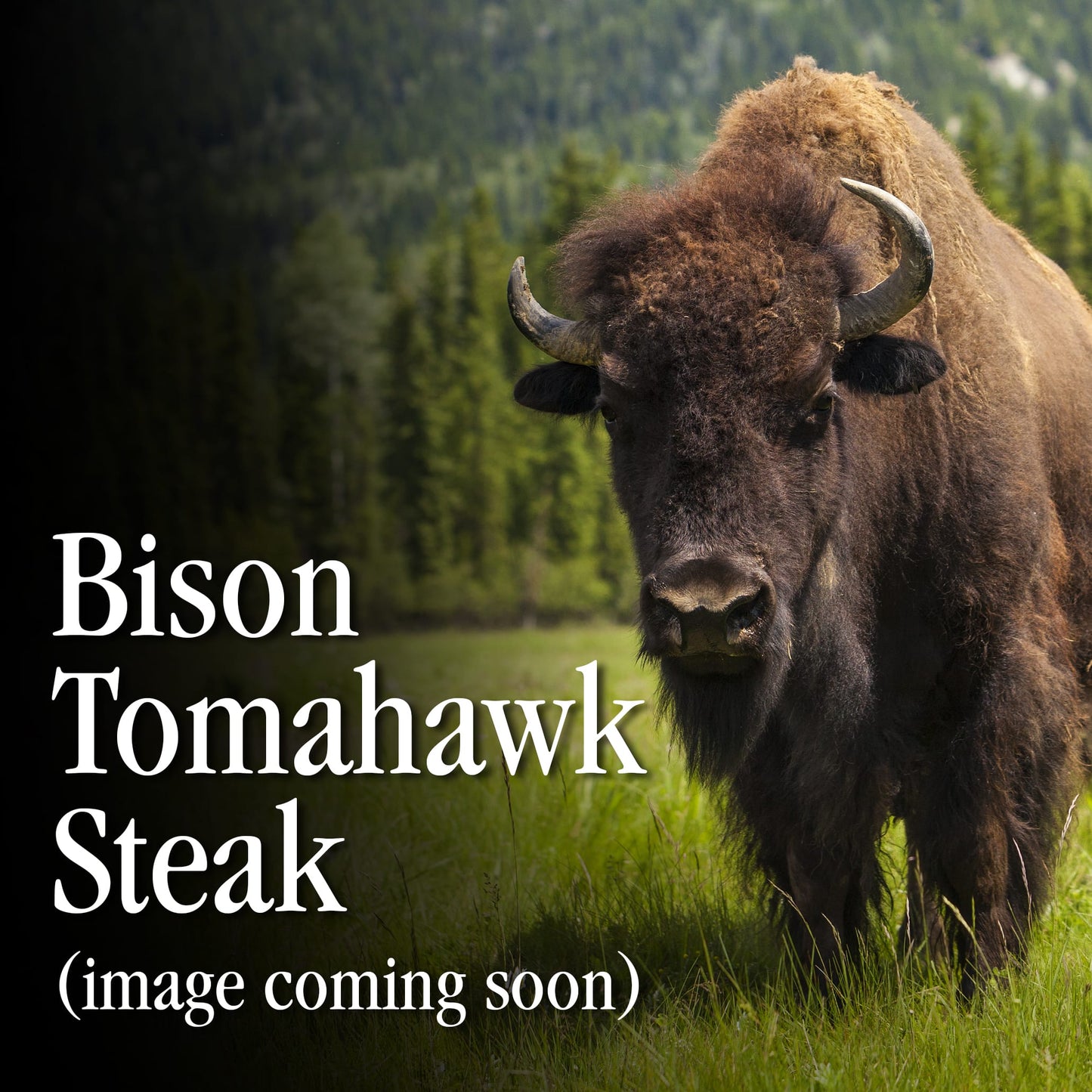 Bison Tomahawk Steak