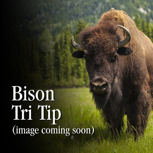 Bison Tri Tip