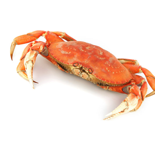 Whole Wild Dungeness Crab