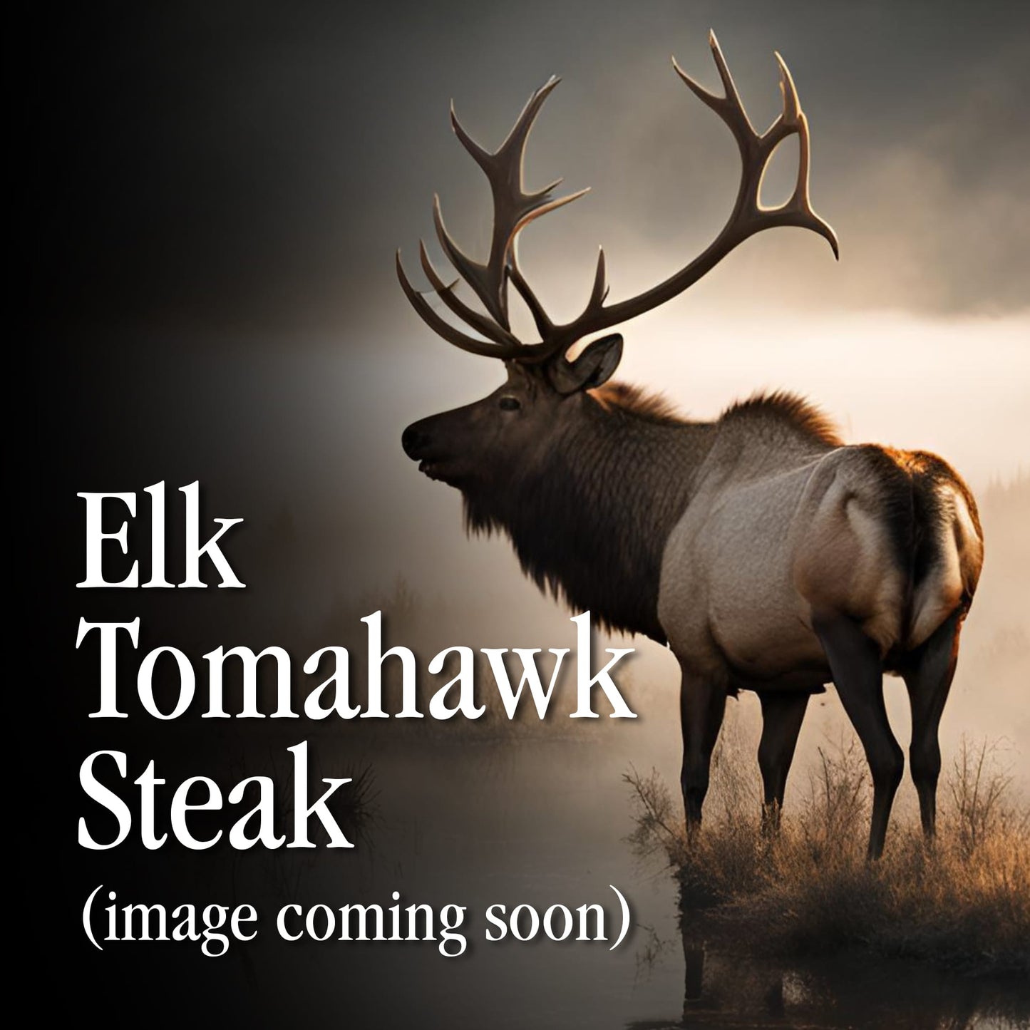Elk Tomahawk Steak