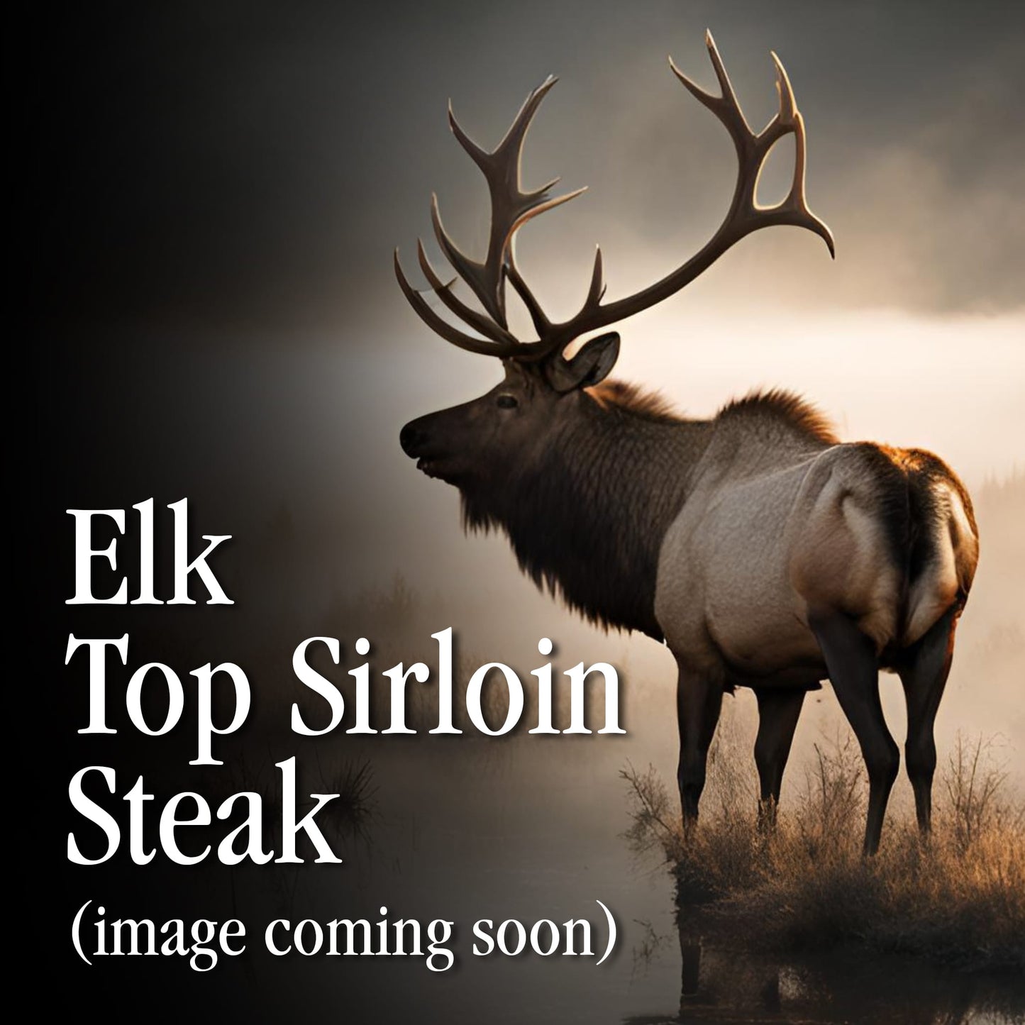 Elk Top Sirloin Steak