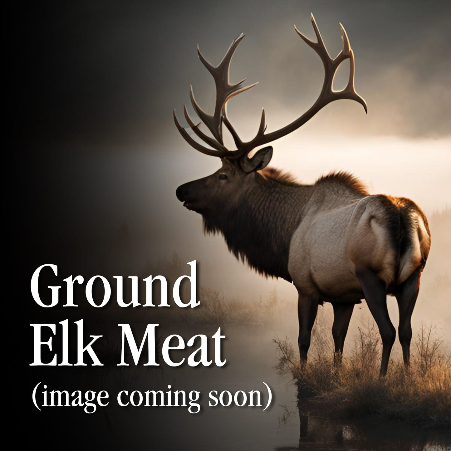 Ground Elk (Frozen)