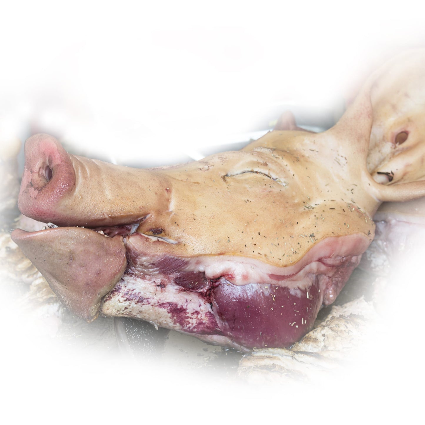 Pig Head, Whole