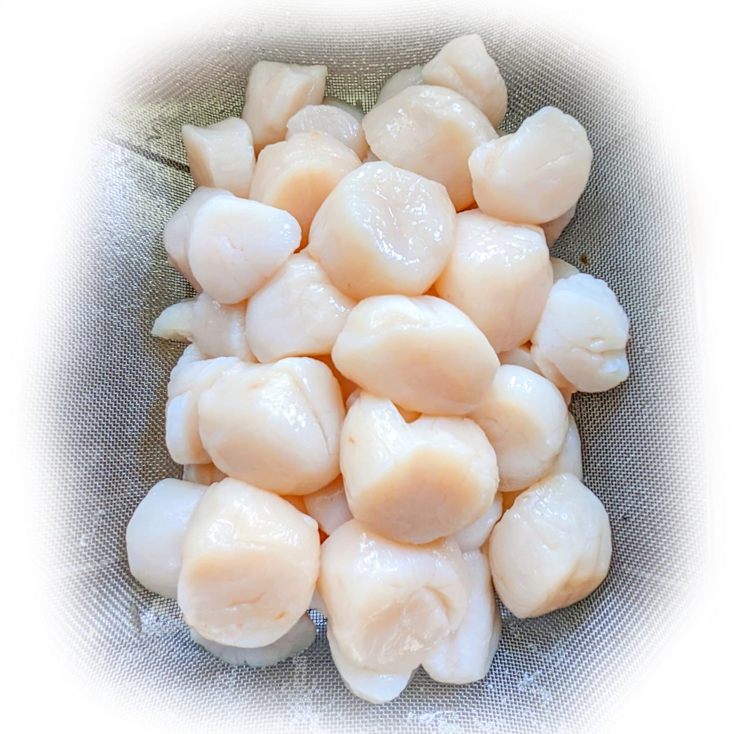 Wild Sea Scallops Dry U10