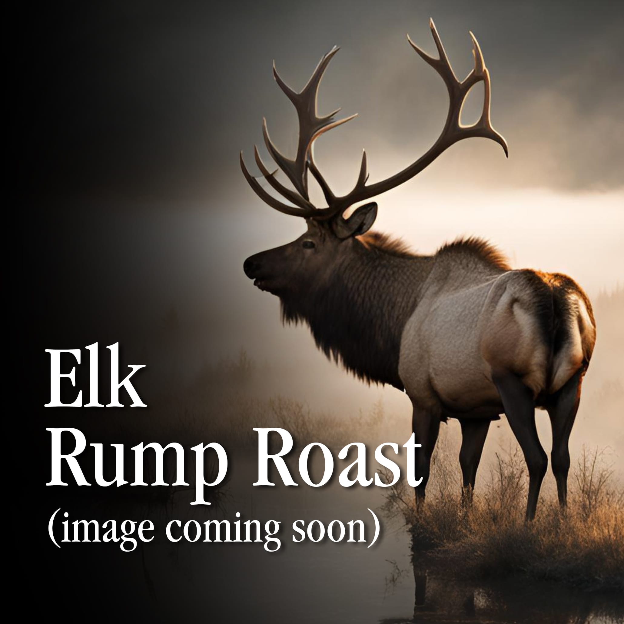 Elk Rump Roast – Fifth Gen Meat Company